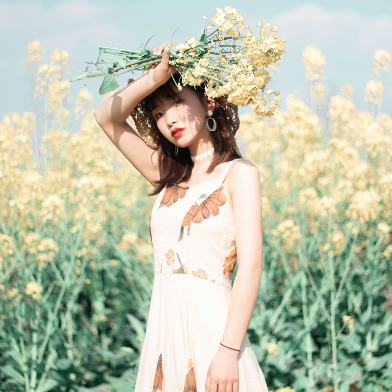 【送料無料商品、税8%】テスト商品２テスト商品２